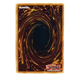 Phoenix Wing Wind Blast MP 1st Edition Rare FET-EN053 Yu-Gi-Oh! TCG See Photos - Image 2