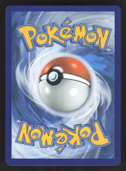 Greninja Star SWSH144 Pokemon TCG Sword & Shield Promo Cards NM - Image 2