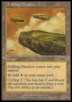Drifting Meadow x4 4x Urza's Saga NM MTG - Image 1