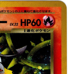 Dark Houndoom Pokemon 2001 Holo Neo Destiny Japanese 229 - NM Near Mint - Image 4