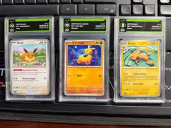 NO RESERVE 3 Graded Pokemon Slabs : Eevee, Makuhita, Raichu - Image 1