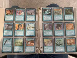 Magic The Gathering Homelands Complete Set M/NM/LP MTG 140 Cards TCG 1995 - Image 3