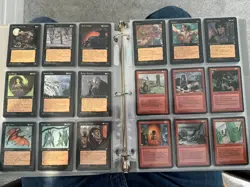 Magic The Gathering Homelands Complete Set M/NM/LP MTG 140 Cards TCG 1995 - Image 5