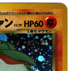 Pokemon Card - Japanese Dark Donphan No. 232 Holo Rare Neo Destiny Near Mint NM - Image 4