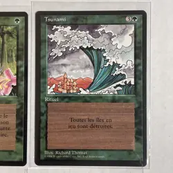 6 French Revised Foreign Black Border Mtg Lot, Smoke, Wild growth, Tsunami - Image 4