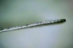 MTG ERHNAM DJINN (Ink) Beta (OldManMTG 008-588) - Image 3