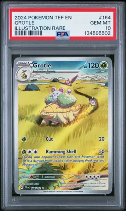 2024 POKEMON TEF EN-TEMPORAL FORCES ILLUSTRATION RARE #164 GROTLE PSA 10 - Image 1