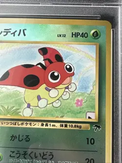 1999 Pokemon Japanese Ledyba Holo Southern Islands-Rainbow Promo PSA 9 MINT - Image 5