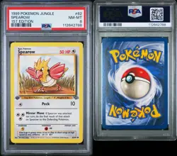 SPEAROW 1999 Pokemon Jungle 1st Edition #62 PSA 8 - Image 3