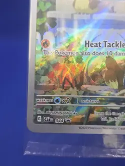 SEALED Pokemon Scarlet & Violet Obsidian Flames Charmander 044 Black Star Promo - Image 5