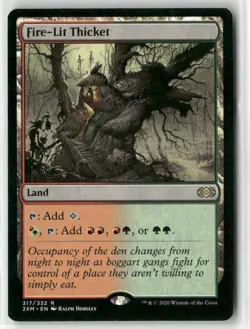 Magic The Gathering- Fire-Lit Thicket Double Masters - Image 1
