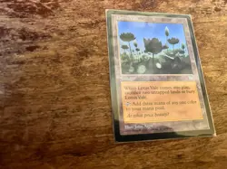 Lotus Vale Weatherlight Regular - Image 1