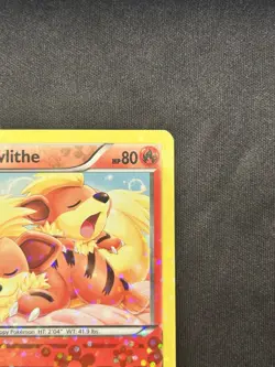 Growlithe RC4/RC25 Pokemon TCG Radiant Collection Reverse Holo FAST SHIPPING!!! - Image 4