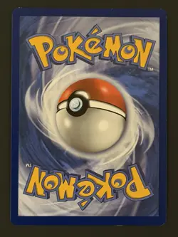 Light Toxtricity SWSH137 - Celebrations 25th Black Star Promo - Pokemon Card LP - Image 2