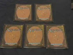 Magic the Gathering Secret Lair Full-Text Lands Foil Set (5) LP - Image 2