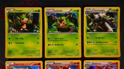 LP/MP Pokemon KALOS STARTER SET Holo 9-Card LOT XY Chesnaught#5+Greninja#14/39#2 - Image 2