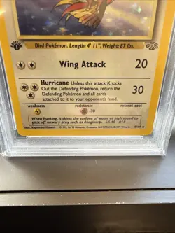 1999 Pokemon Jungle Pidgeot Holo 1st Edition 8/64 PSA 10 - Image 4