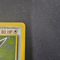 Pokemon Karte/card - Knuddeluff Wigglytuff 16/64 - Jungle Holo - Image 3