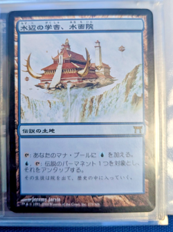 Magic the Gathering - Champions of Kamigawa Complete Set - NM Japanese - Image 3