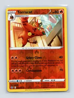 Pokemon TCG Torracat 031/195 SWSH12: Silver Tempest Reverse Holo NM - Image 1