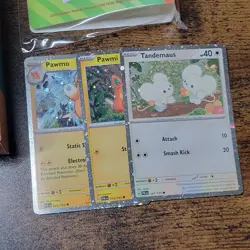 Paldea Adventure Chest Contents - No Packs, Box or Pikachu Promo! Items Shown - Image 2