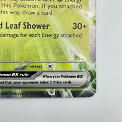 Pokemon Teal Mask Ogerpon ex SV06: Twilight Masquerade Holo 025/167 NM - Image 4