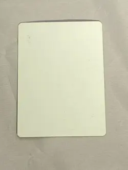 MTG Reiterate Artist Proof and Signature Signed Scott - Image 2