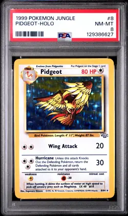 1999 Pokemon Jungle #8 Pidgeot Holo PSA 8 NM-MT - Image 1