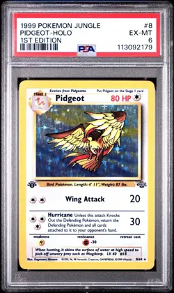 1ST EDITION 1999 VINTAGE POKEMON Pidgeot 08/64 Jungle Holo PSA 6 EX-MT ! RARE⚡ - Image 1