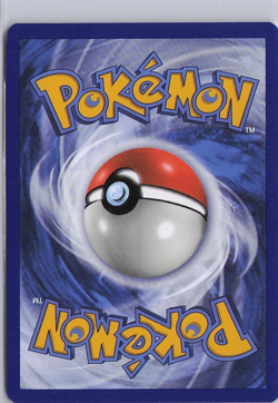 Pokemon Card Gyarados Rare Holo 33/147 Burning Shadows - Image 2