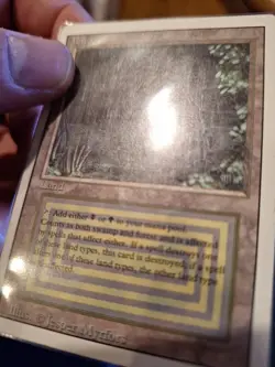 MTG Bayou Revised LP - Image 3