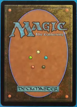 Forest (248) FOIL Zendikar PLD Extended / Full Art CARD (462856) ABUGames - Image 2