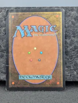 HP - Forest (348) - Mercadian Masques - Foil - Magic The Gathering English MTG - Image 2