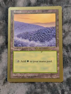 Forest (Land) Magic The Gathering MTG Gold Border Championship Seattle Aug 1997 - Image 1