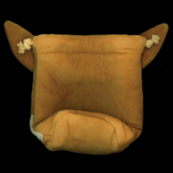 Pokemon TCG: Prismatic Evolutions - Eevee Accessory Pouch - Image 2