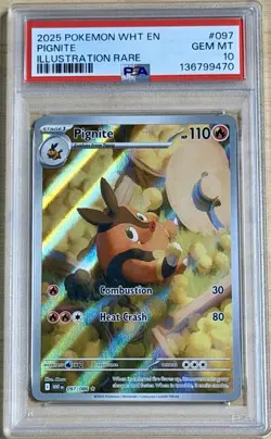 Pokemon 2025 Pignite 097/086 Illustration Rare White Flare PSA 10 Gem 💎 Mint - Image 1