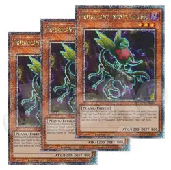 Yugioh - Predaplant Ophrys Scorpio x 3 - 1st Edition QCR NM - Free Holo Card - Image 1