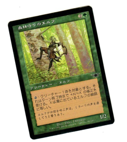 MTG Timberwatch Elf Legions Vintage Japanese Common Single - Image 1