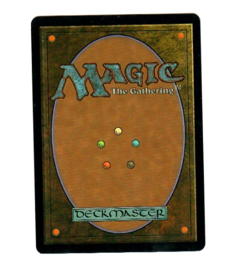 MTG Timberwatch Elf Legions Vintage Japanese Common Single - Image 2