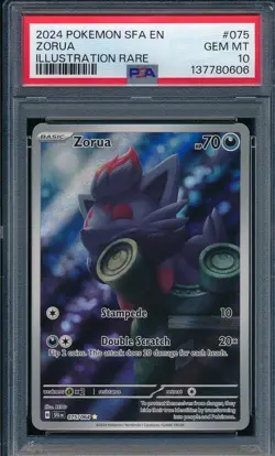 2024 Pokemon TCG Zorua 075/064 Shrouded Fable Illustration Rare Holo PSA 10 - Image 1