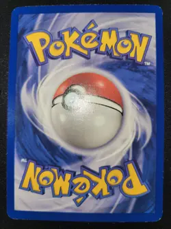 Archive Lot Of Pokemon- TCG Trading Cards 636996769739 - Image 2