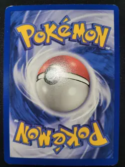 Archive Lot Of Pokemon- TCG Trading Cards 636996769739 - Image 4