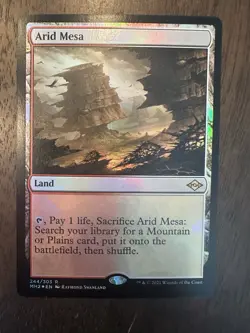 Arid Mesa : MTG *FOIL* Modern Horizons 2 #244 / NM - Image 1
