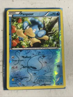 Pokemon - Panpour - 22/98 - Common - Reverse Holo - Emerging Powers - Mp - Image 1