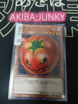 Mystic Tomato DR02-JPA06 Yugioh Yu-Gi-Oh OCG Konami JAPAN - Image 4