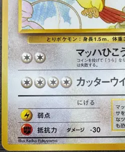 Pigeot 18 Southern Islands Pokemon TCG Card Japanese - Image 4