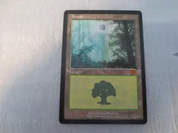 MTG 1999 Guru Forest Promo Card by Terese Nielsen Vintage Magic - Image 1