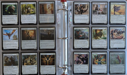 RIVALS of IXALAN - 99% Complete Set (1x each card; missing 1) - MTG - Image 2