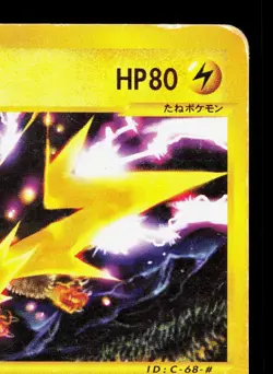 Zapdos 024/P P Promos HP Japanese Pokemon Card TCG - Image 3