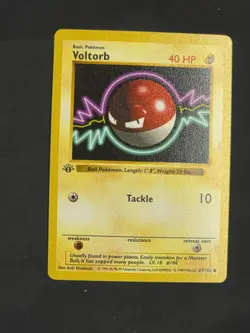 Pokemon TCG Voltorb Base Set 67/102 Regular 1st Edition Shadowless Common Card - Image 1